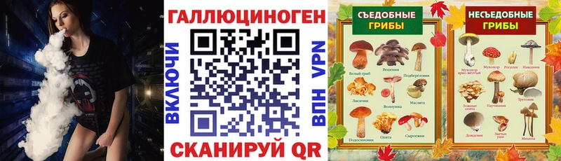 закладка  darknet клад  Галлюциногенные грибы Cubensis  Южноуральск 